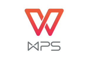 WPS Office 2023 ProPlus v12.8.2.19823 绿色便携版-秋叶资源网